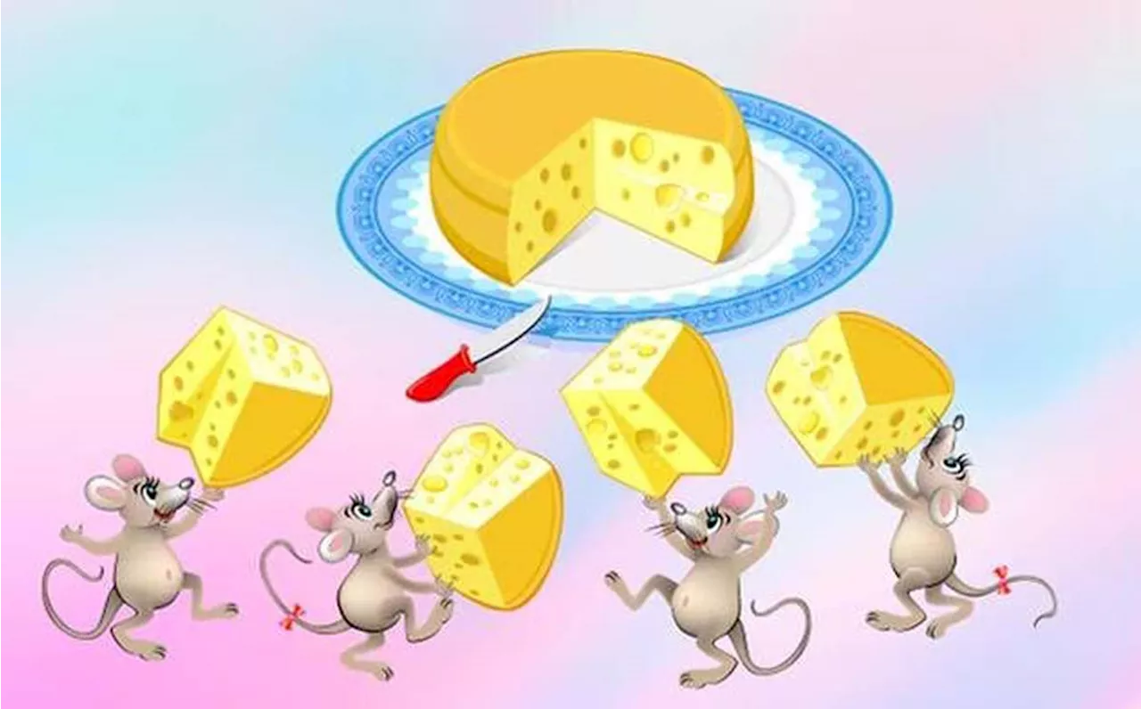 ¡En 30 segundos! ¿Puedes saber cuál fue el ratón que se llevó el pedazo de queso?