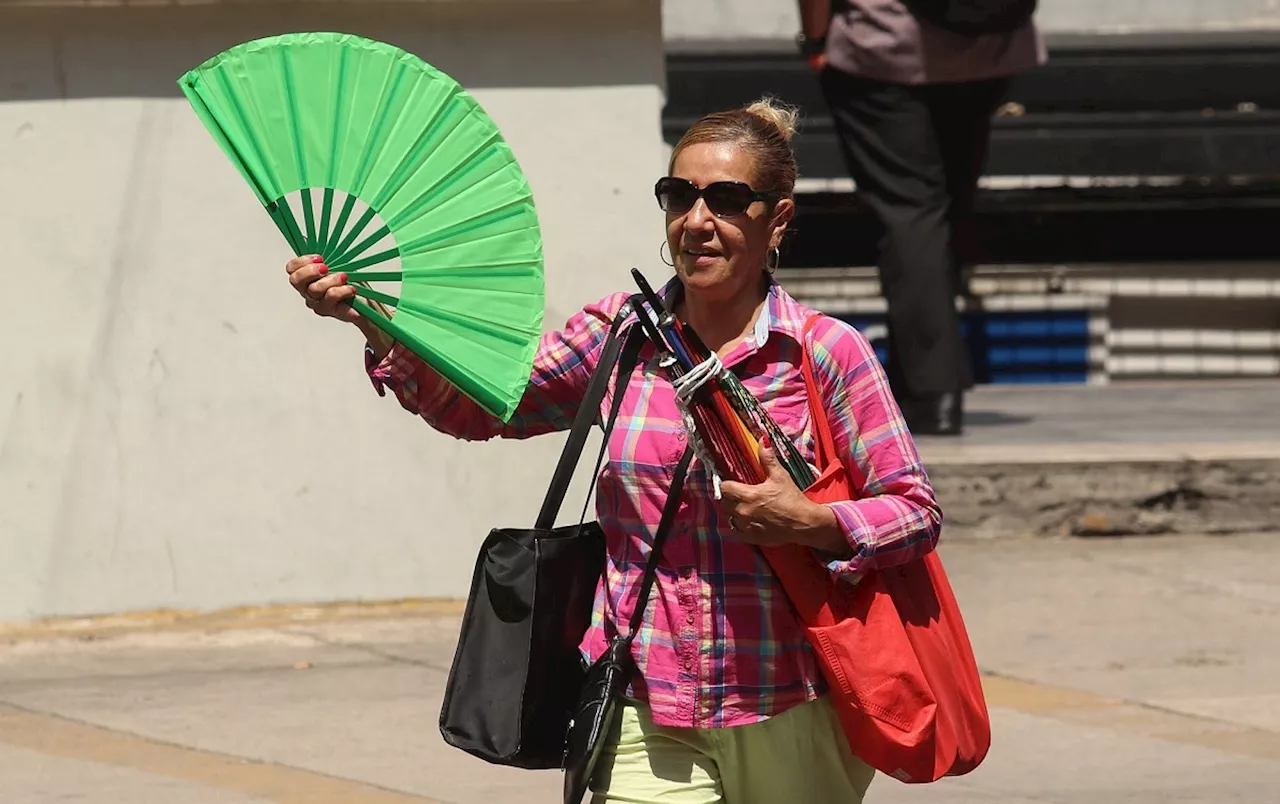 ¿Es 'el calor' o 'la calor'? RAE explica cuál es la manera correcta de decirlo