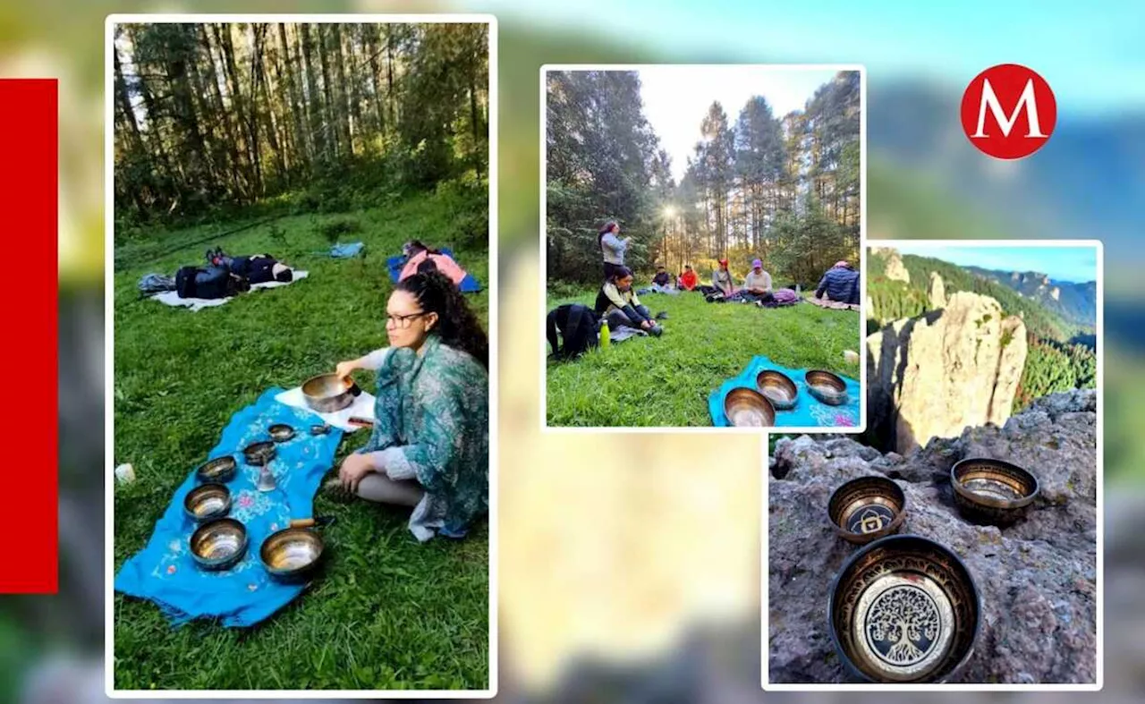 Sonoterapia en Mineral del Chico: un retiro espiritual con cuencos tibetanos en el bosque