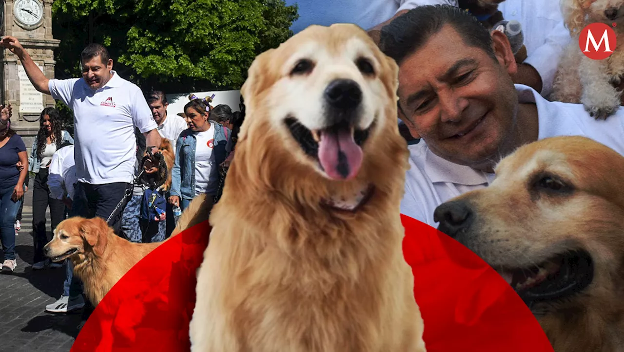 Tommy Armenta: él es el director honorífico de Bienestar Animal en Puebla