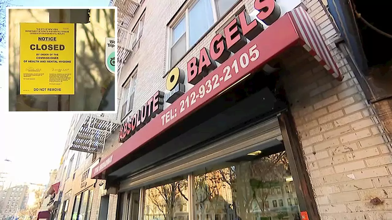 Beloved NYC bagel spot abruptly closes after rat feces, roaches and dead rodents found