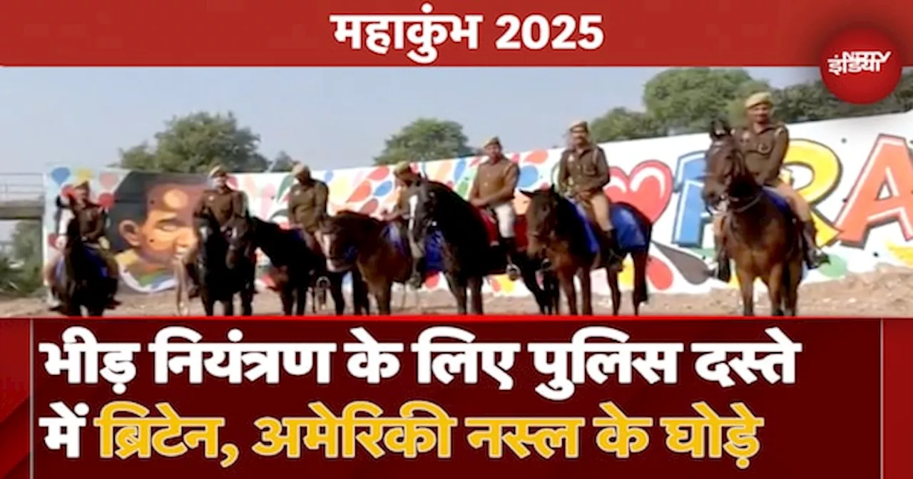 Maha Kumbh 2025 में आए American और England Breed के Horses, Army ने दी 6 महीने की ट्रेनिंग