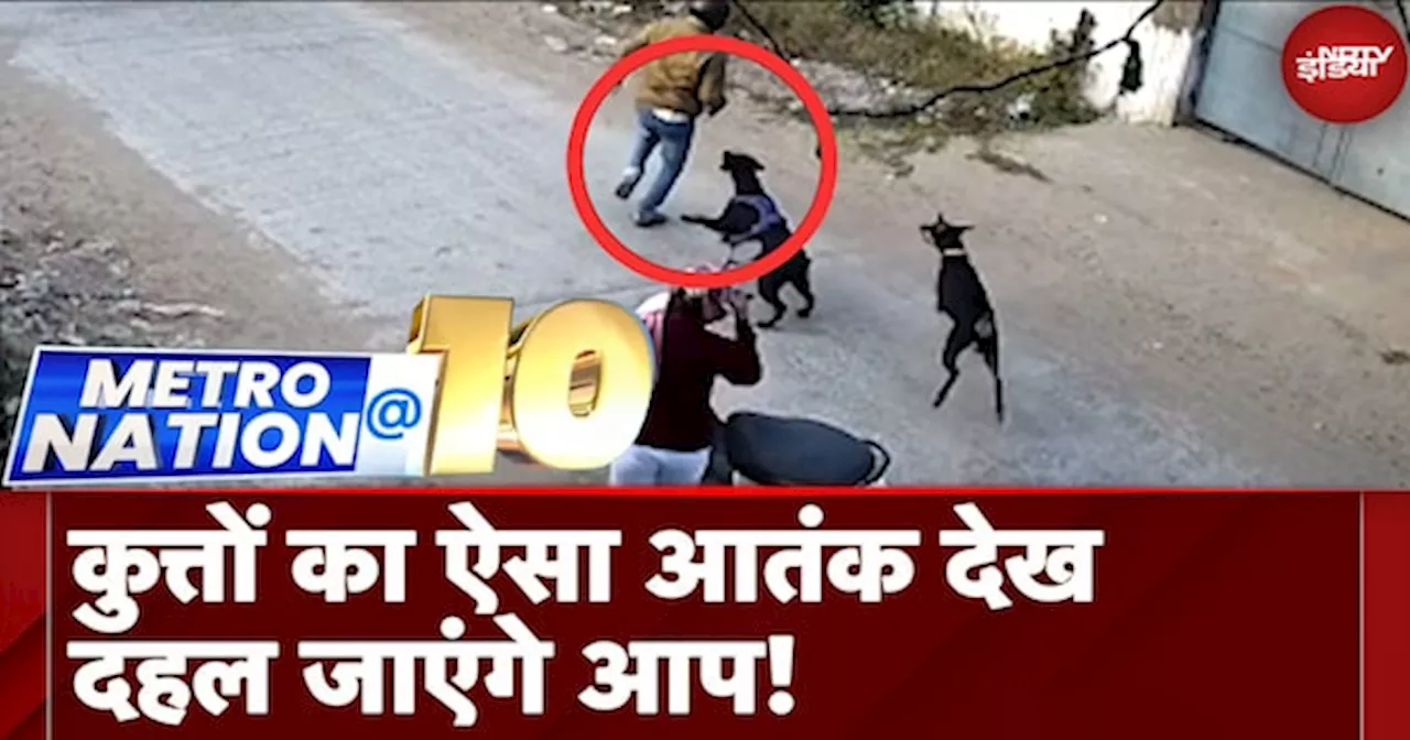 Stray Dog Attack: Madhya Pradesh के अलग-अलग शहरों में आवारा कुत्तों का आतंक, सुरक्षा में चूंक क्यों?