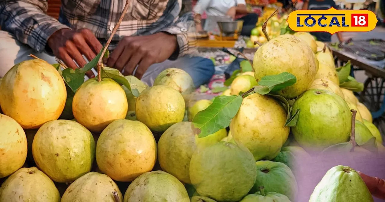 सर्दियों का राजा है ये फल, इसके आगे सेब-अनार भी फेल, चेहरे की झुर्रियों को जड़ से करता है खत्म, ये लोग रहे ...