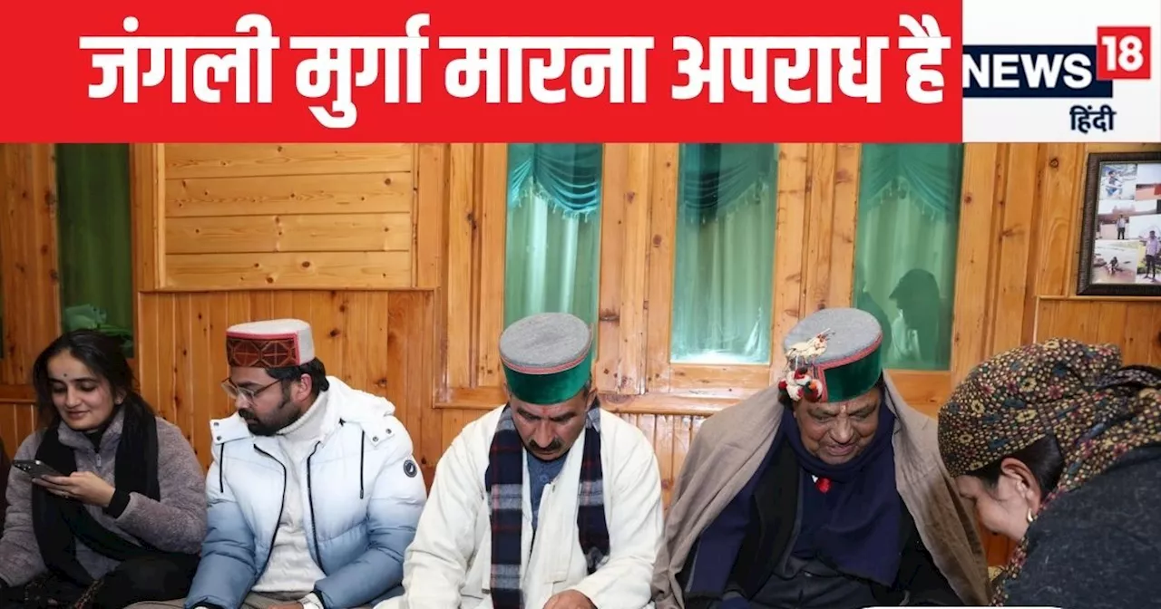 VIDEO: CM के डिनर की मेन्यू लिस्ट वायरल, जंगली मुर्गा परोसने पर सवाल, सुक्खू बोले- मैं मीट नहीं खाता