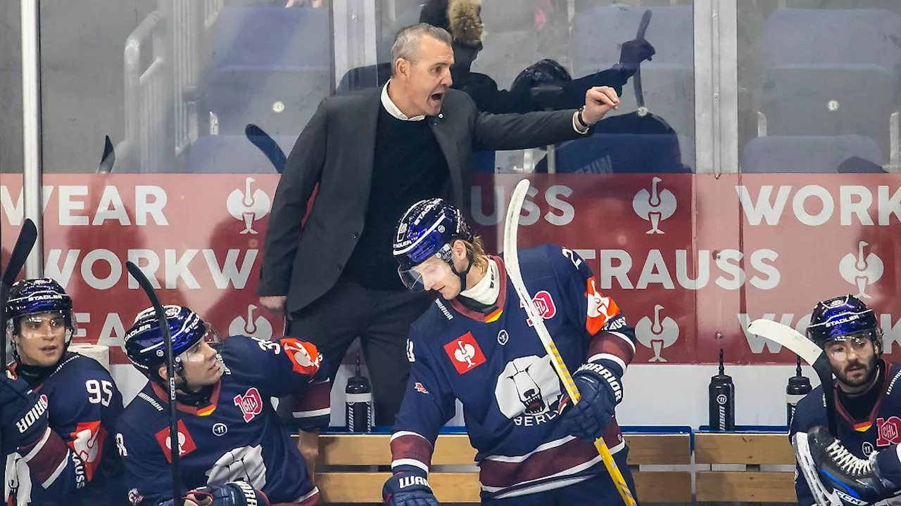 Berlin & Brandenburg: Eisbären-Coach Aubin erzürnt: 'Das ist nicht gut genug'