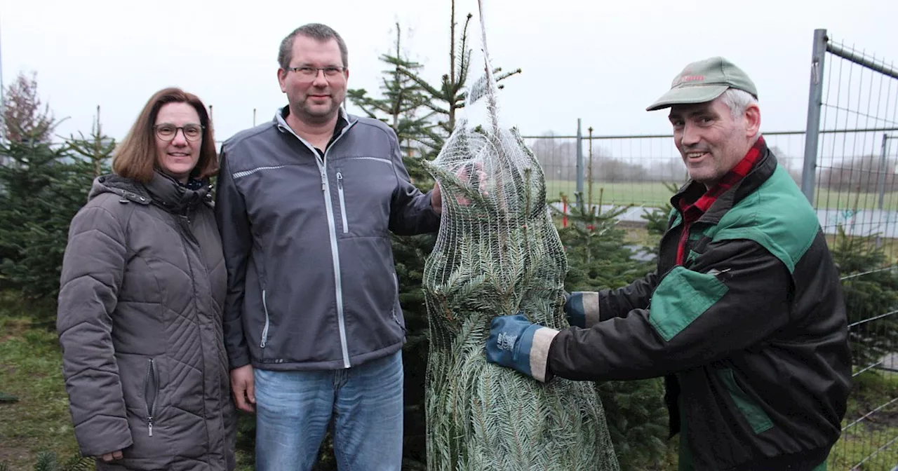 Straße im Kreis Gütersloh monatelang gesperrt: Erhebliche Einbußen für Tannenbaum-Verkauf