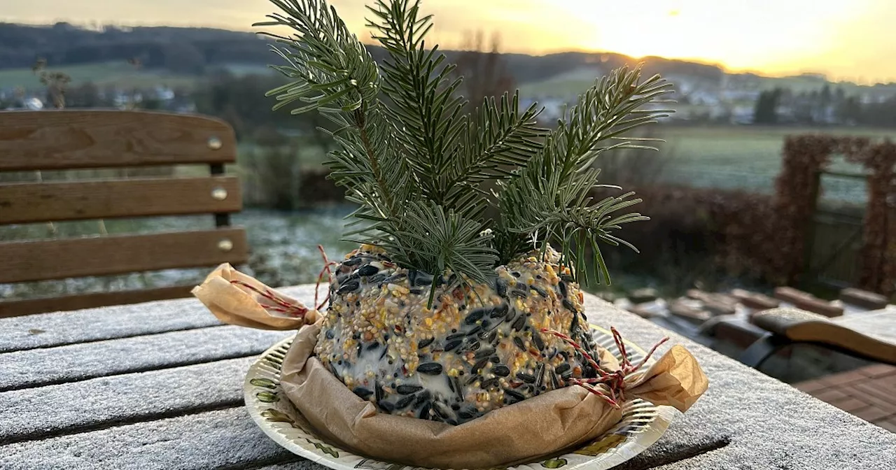 Tipps aus Enger: Winterliche Snacks für Vögel selbst herstellen