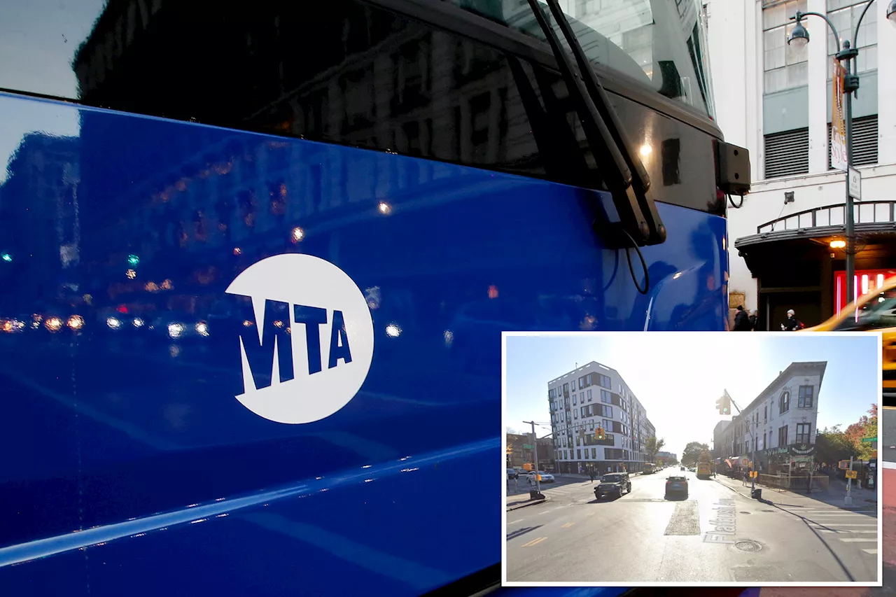 MTA driver stabs rider who slugged him in chaos on bus: cops, sources