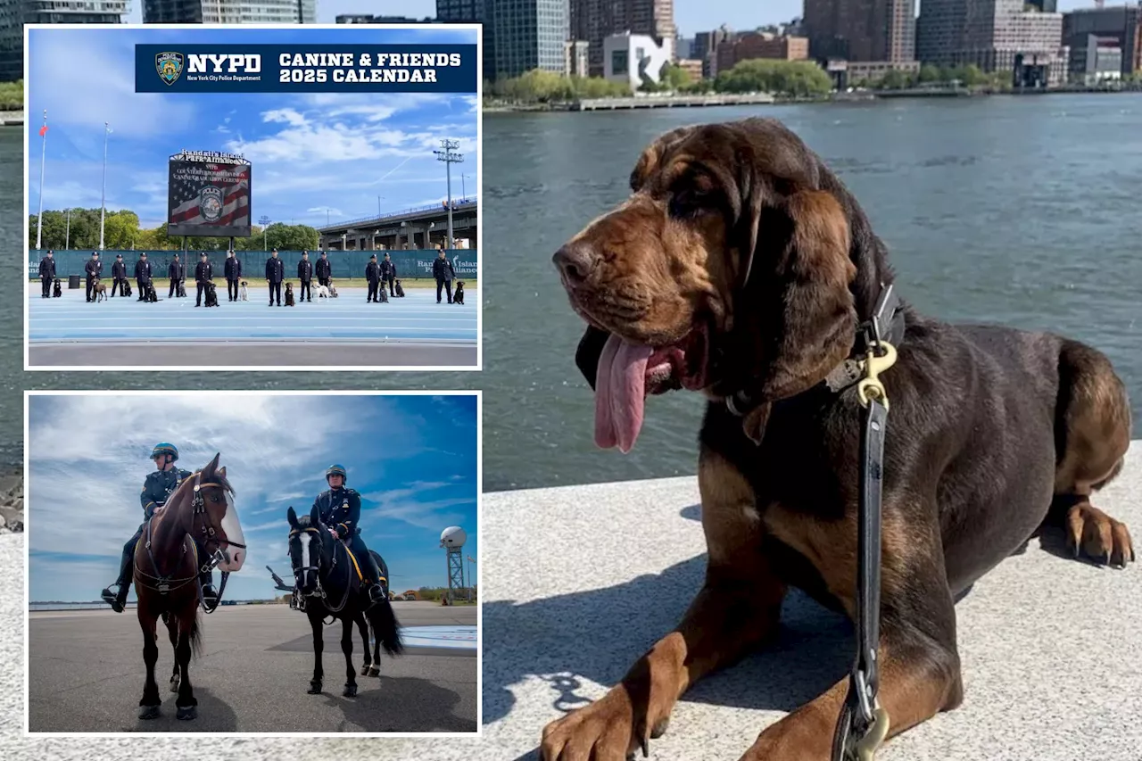 NYPD releases 2025 'Canine & Friends' calendar