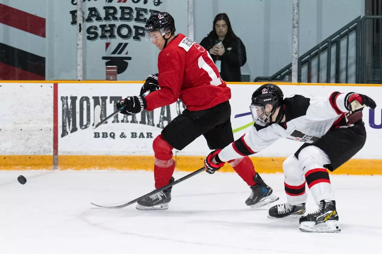 Making the grade: Canada unveils world junior roster featuring plenty of youth