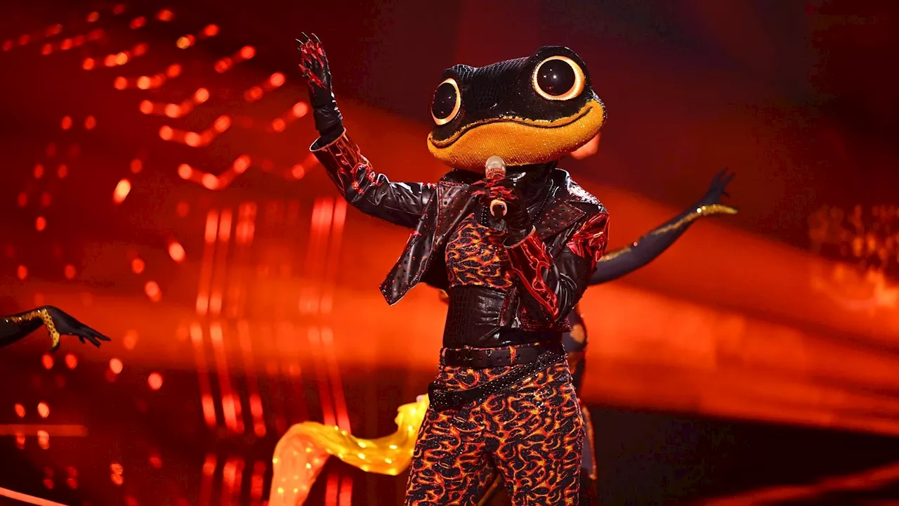 Dieser Star ist der 'The Masked Singer'-Feuersalamander