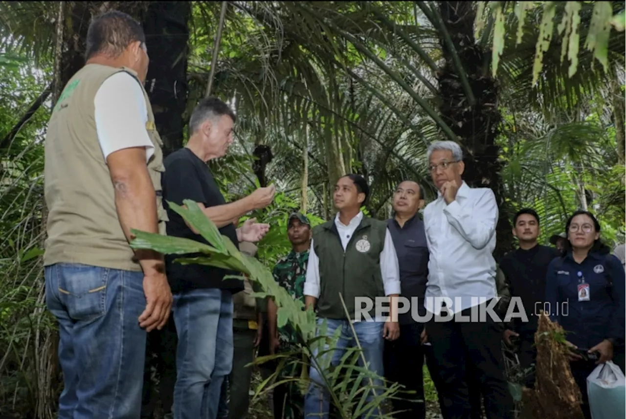 Kawasan Hutan untuk Bioethanol Disiapkan Dukung Swasembada Energi