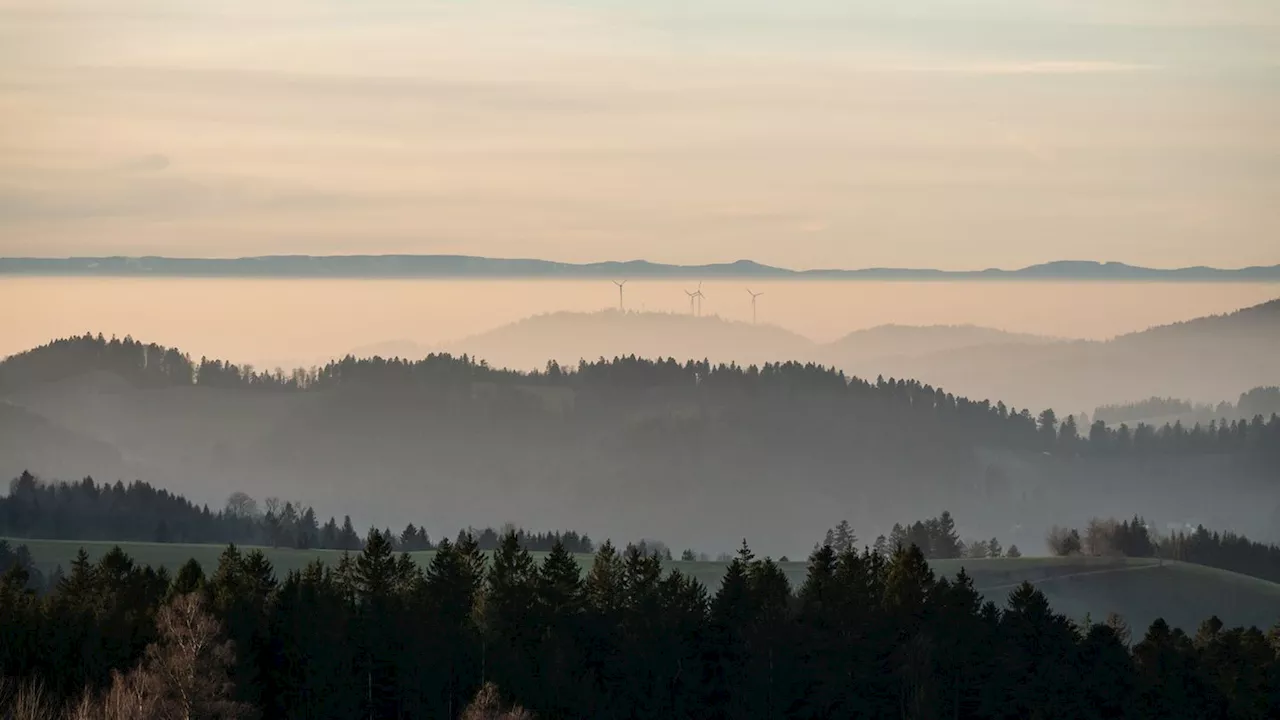 Wettervorhersage: Wolken, Regen und nur wenig Schnee im Südwesten