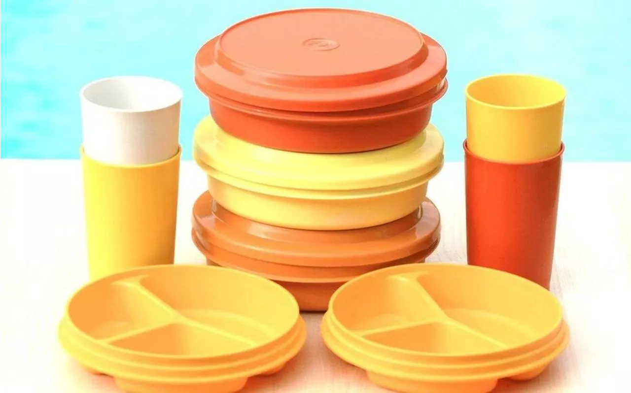 Le saviez-vous ? C’est une Périgourdine qui a introduit les boîtes Tupperware en Europe