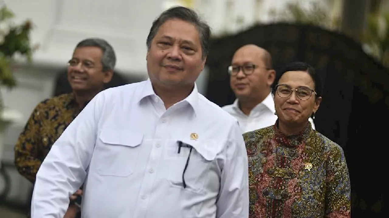 Vietnam Turunkan PPN, Menko Airlangga: Beda Negara Beda Kebijakan