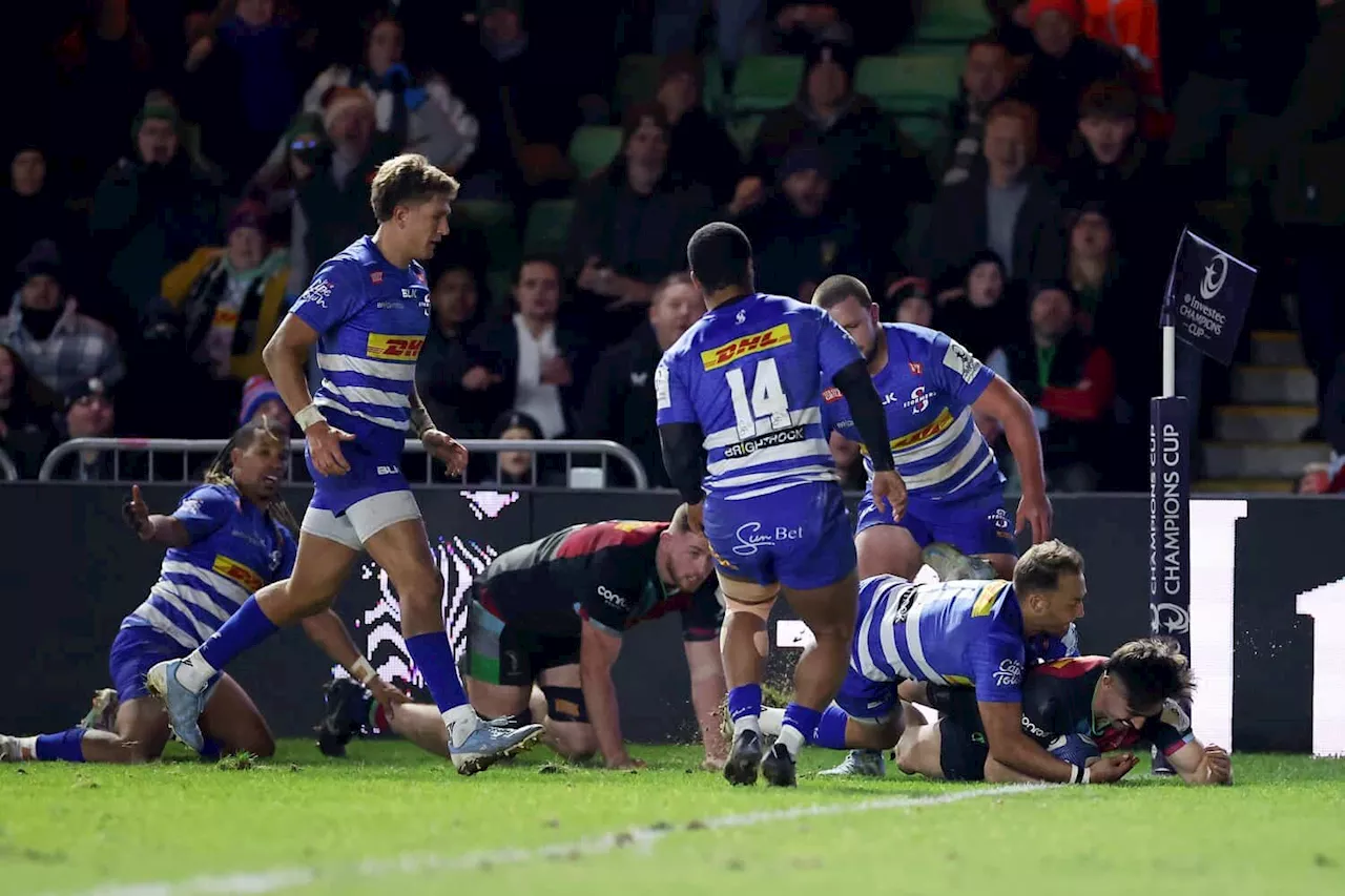 Champions Cup result: Ill-disciplined Stormers thrashed by Harlequins