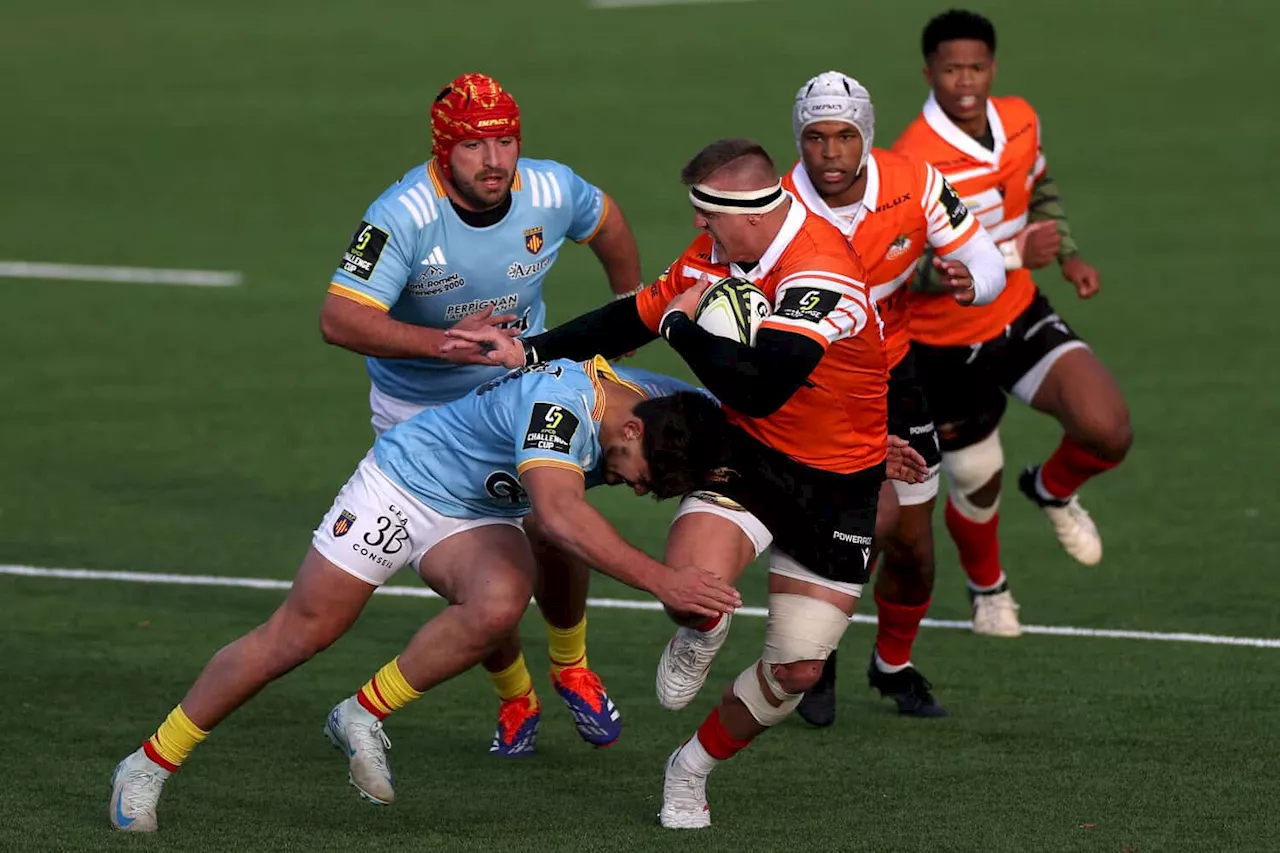 Cheetahs prepared for kicking barrage against Cardiff