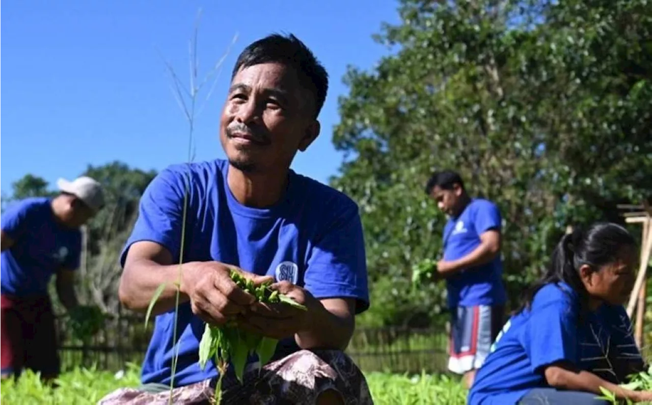 SM Foundation provides 14-week training for 100 Laoag farmers