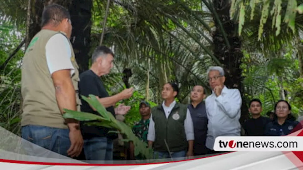 Menhut Dukung Target Presiden Prabowo dalam Swasembada Pangan dan Energi, Siapkan Kawasan Hutan untuk Bioethanol