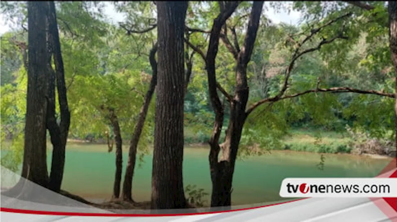 Tahura Bunder, Menumbuhkan Konservasi Alam di Gunungkidul Berbasis Sinergi dan Pemberdayaan Masyarakat