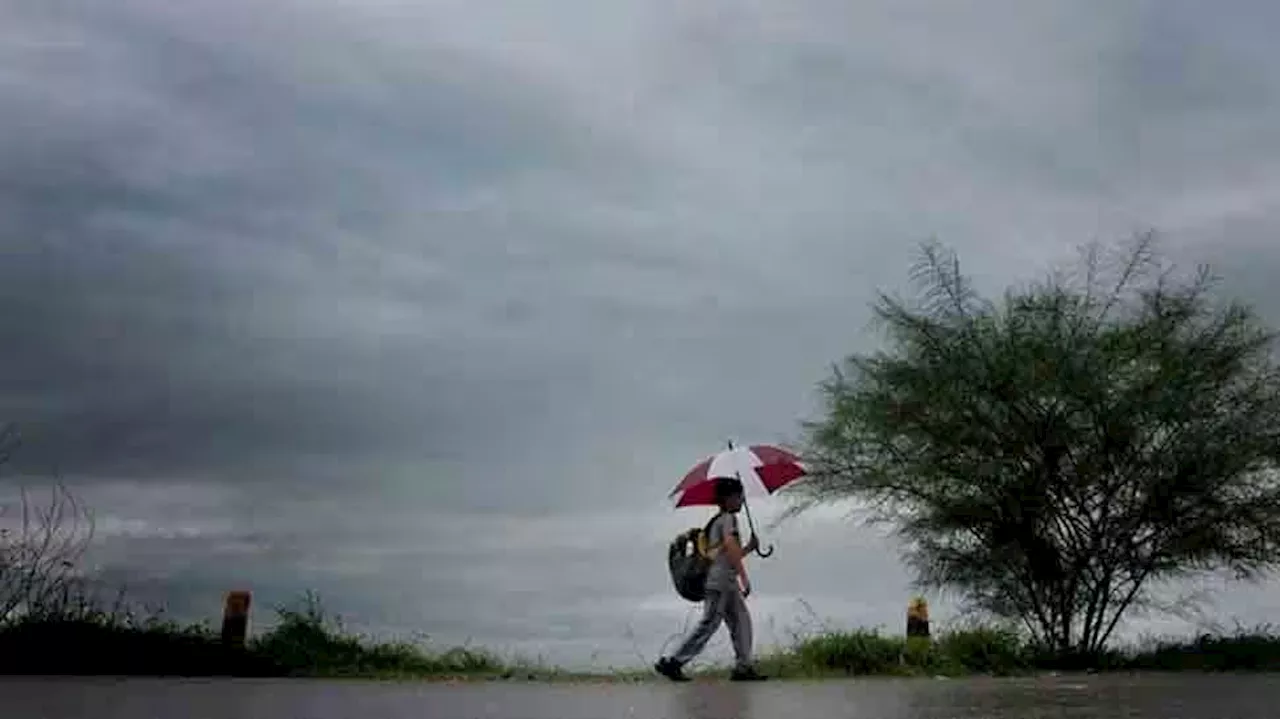 Rain Alert Kerala: സംസ്ഥാനത്ത് ശക്തമായ മഴയ്ക്ക് സാധ്യത മൂന്ന് ജില്ലകളിൽ യെല്ലോ അലർട്ട്