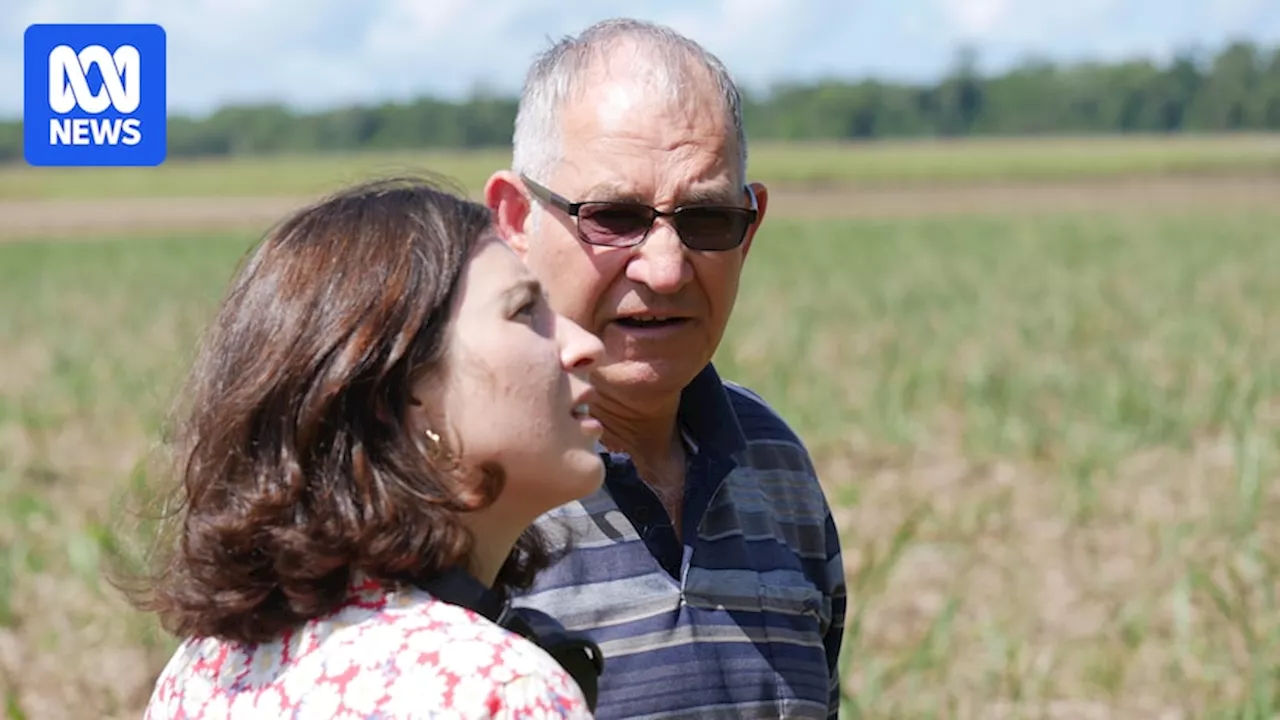 Reporting on the taboo topics of UFOs and crop circles