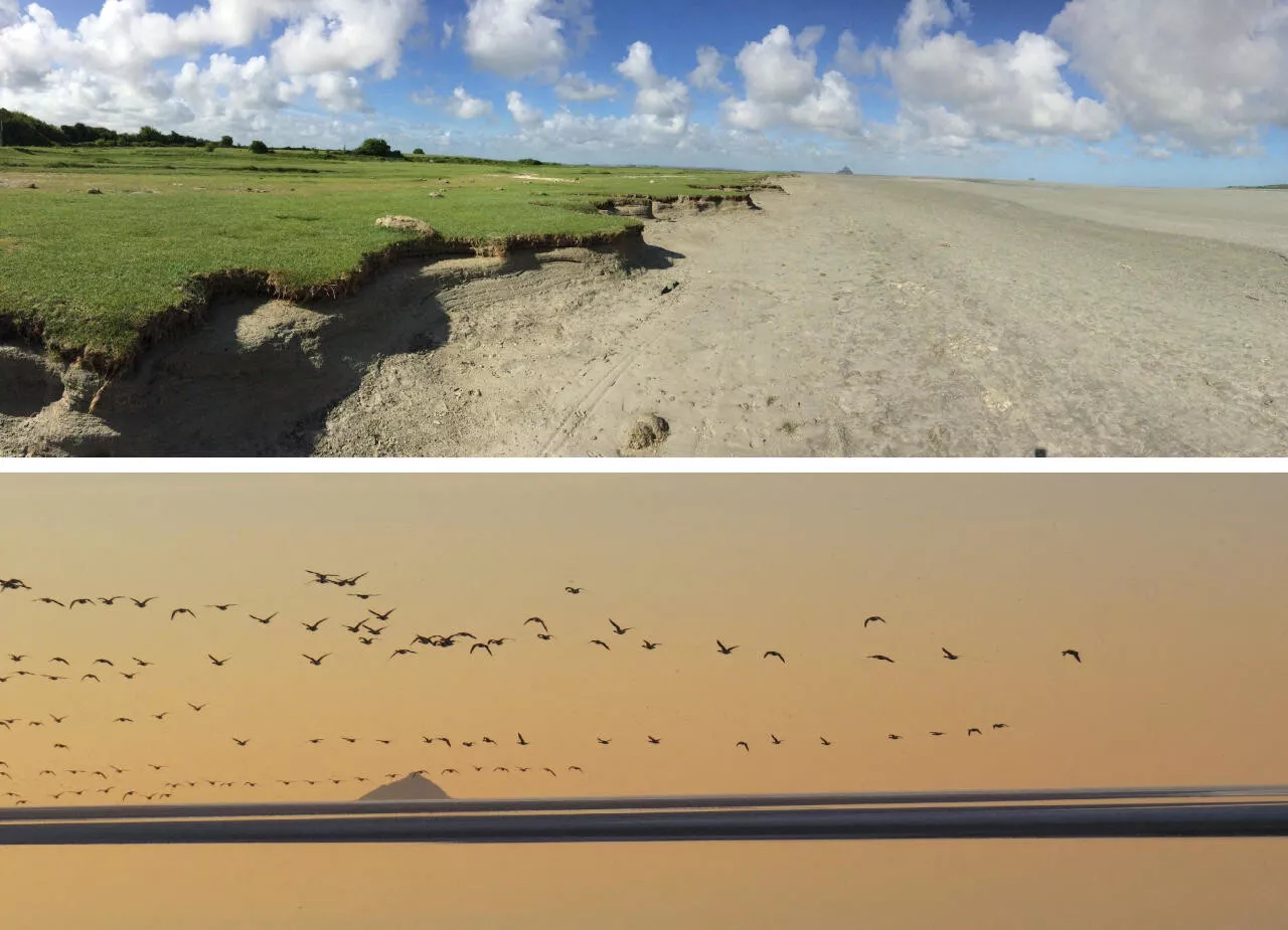 Erosion dans la baie du Mont-Saint-Michel, quatre communes invitées à une réunion publique