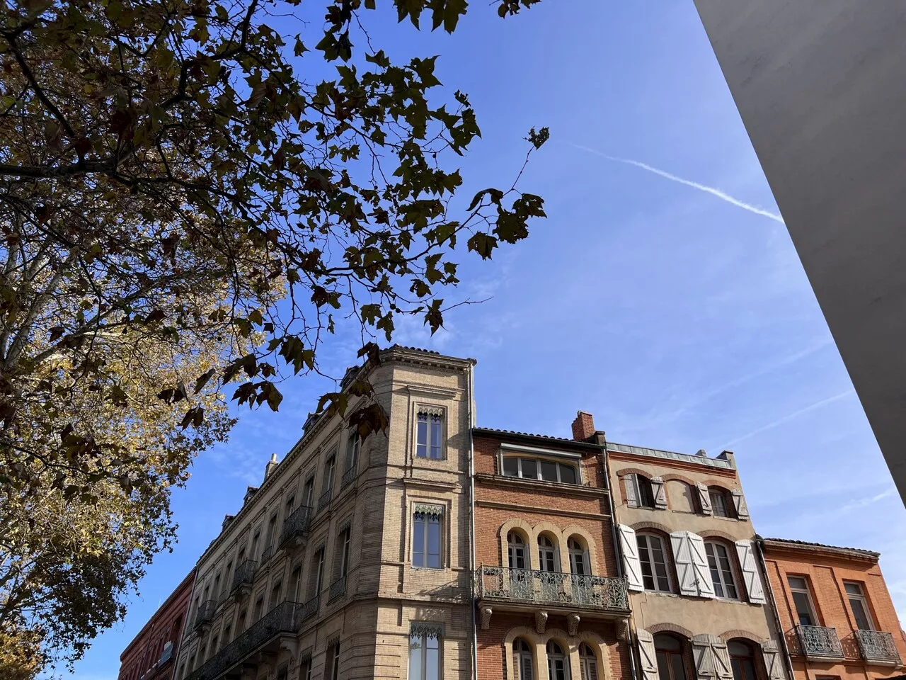 Voici les prévisions de Météo France à Toulouse et en Occitanie, dimanche