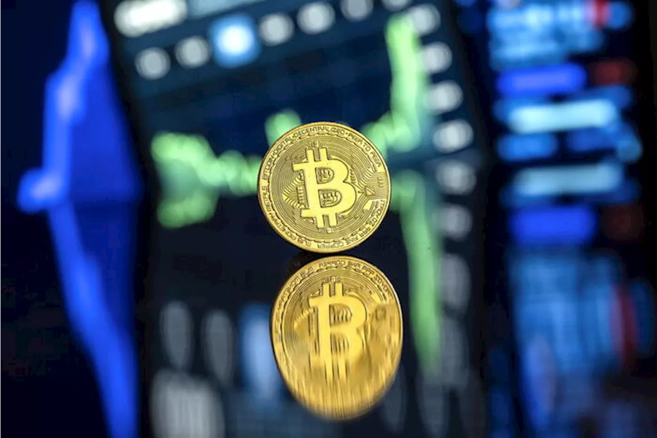 Il Bitcoin ancora record, vola a 103.909 dollari