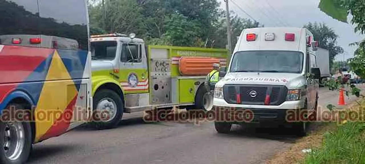 Colisionan autobús y particular en la carretera Martínez de la Torre-San Rafael