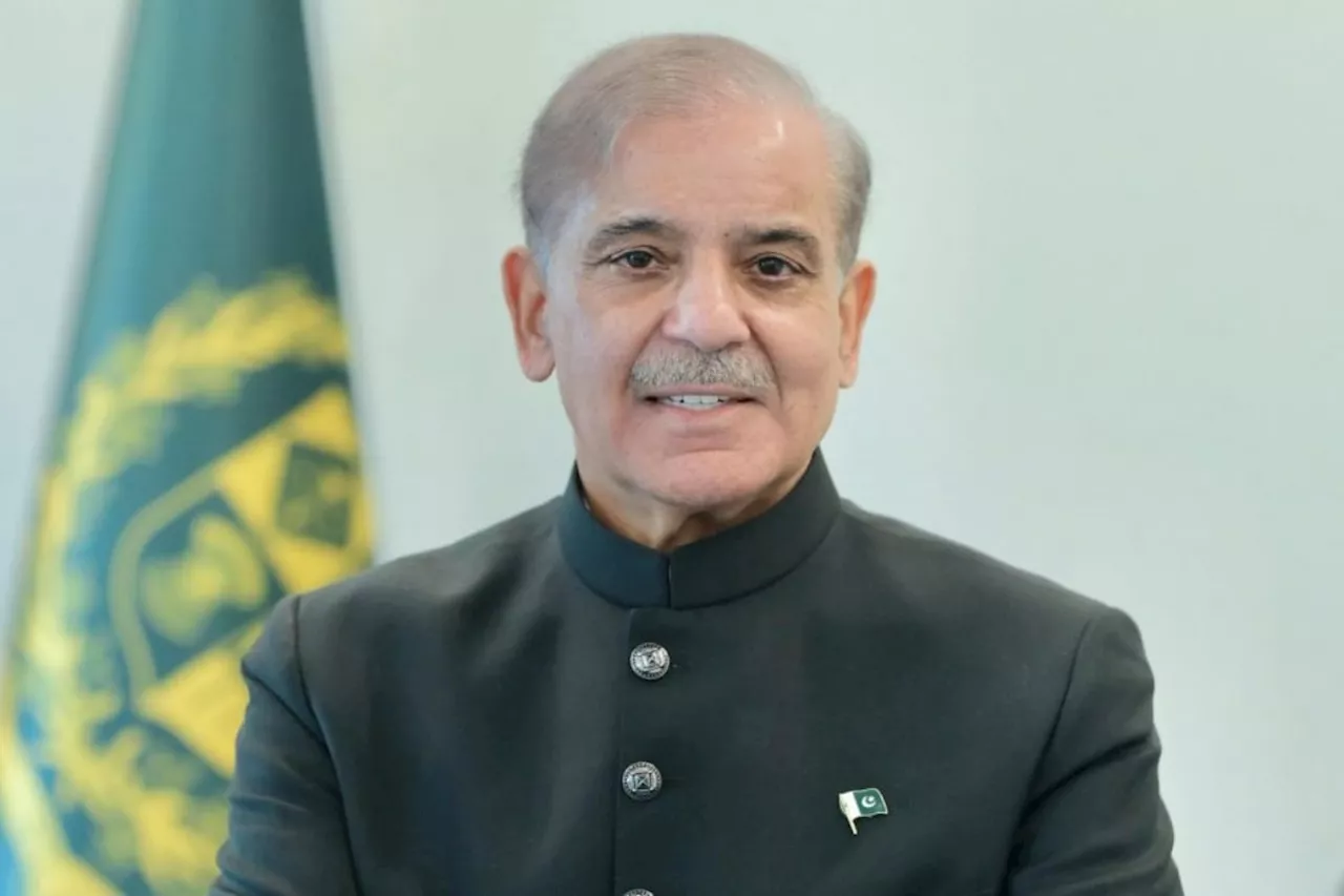 PM Shehbaz orders quick inquiry into Greek boat incident