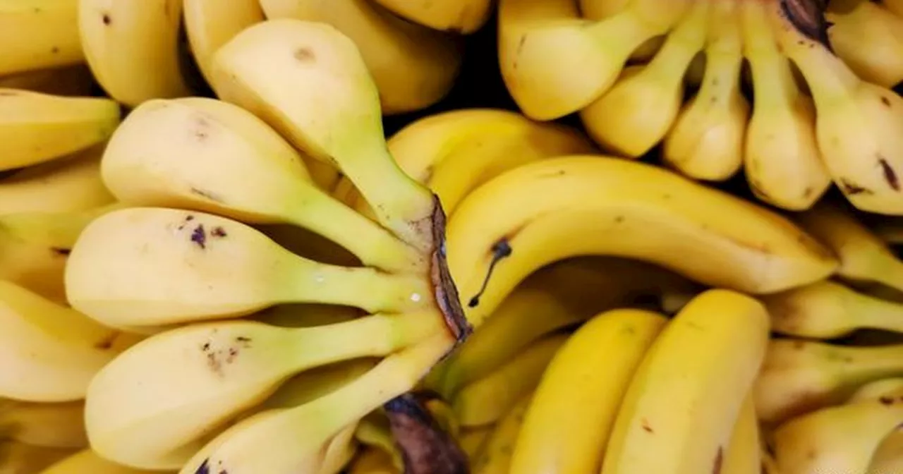 Beliebtes Obst: So viele Bananen sind gesund