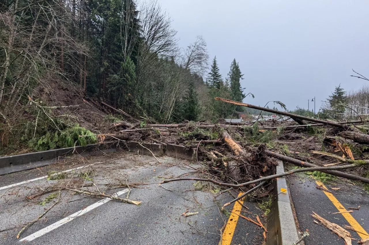 Residents 'unaccounted for' after Lions Bay home hit by landslide, RCMP say