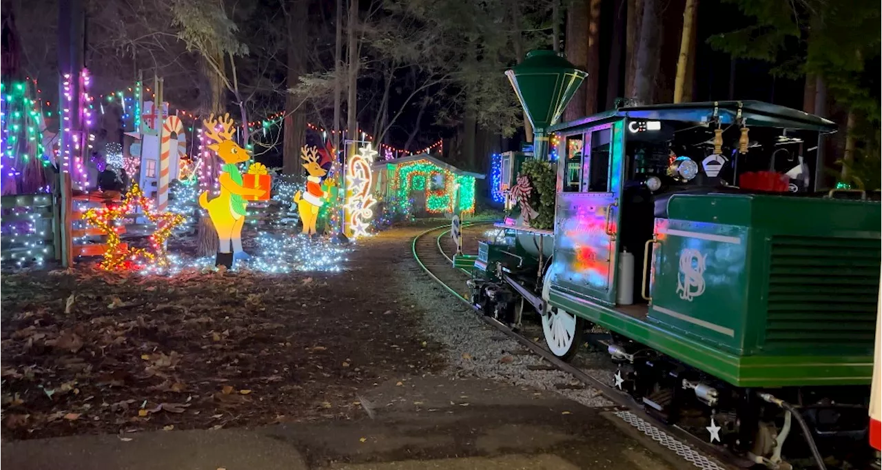 'We are very sorry': Stanley Park's Christmas train suspended after 'worker safety incident'