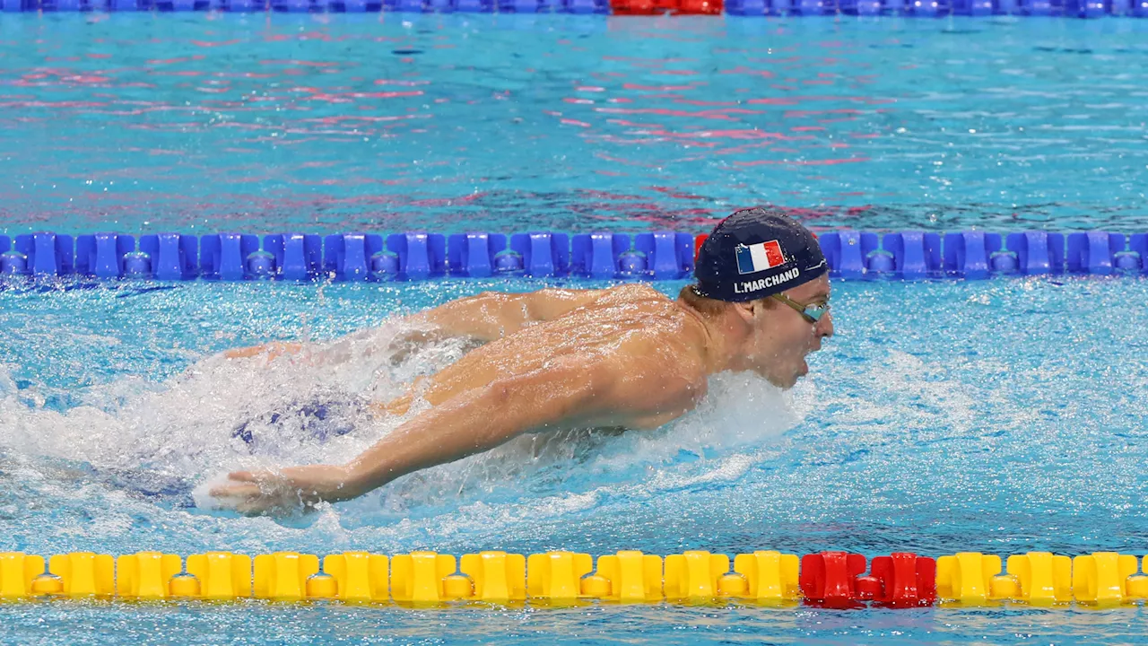 Natation : Léon Marchand, quadruple champion olympique, élu nageur de l'année 2024