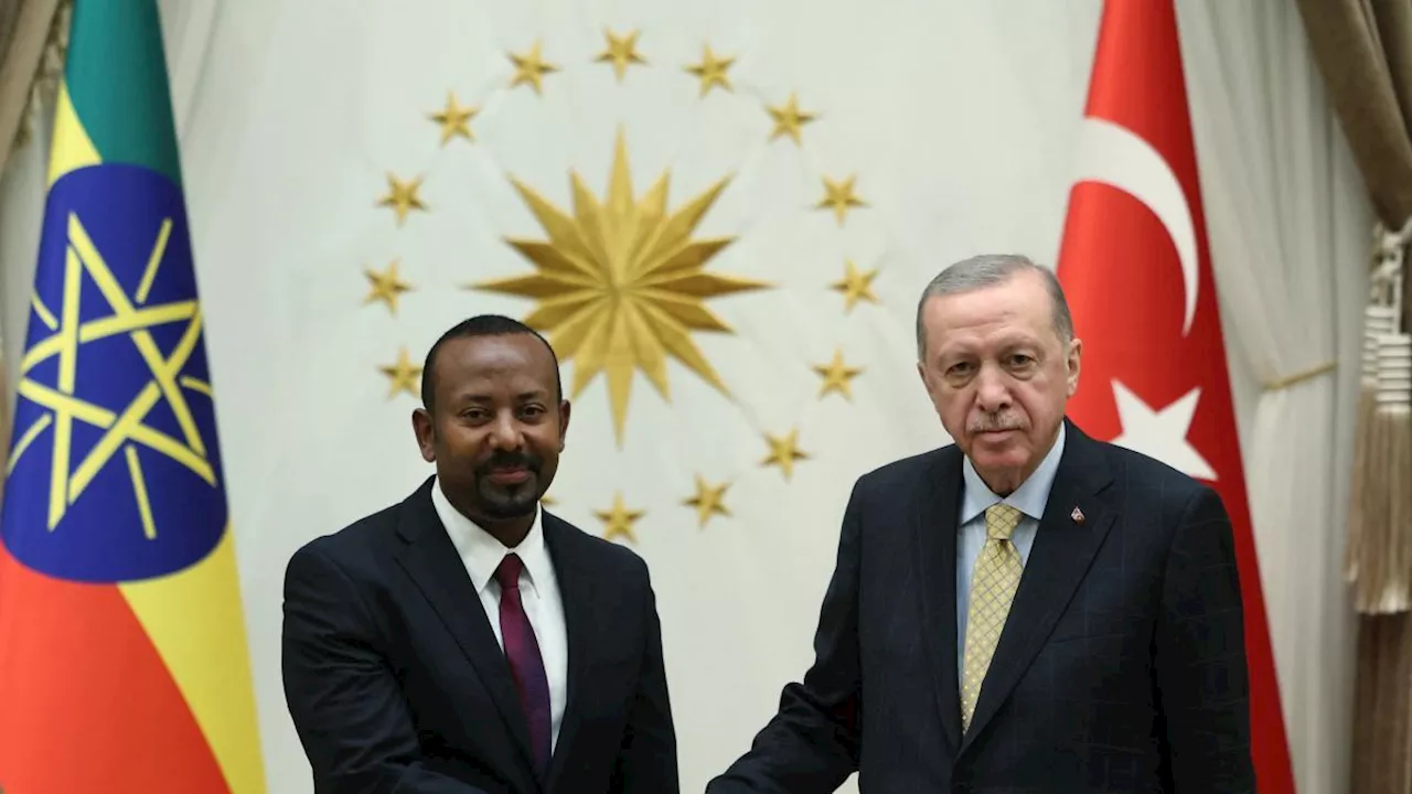 Così la Turchia di Erdogan si è «presa» anche il Corno d'Africa