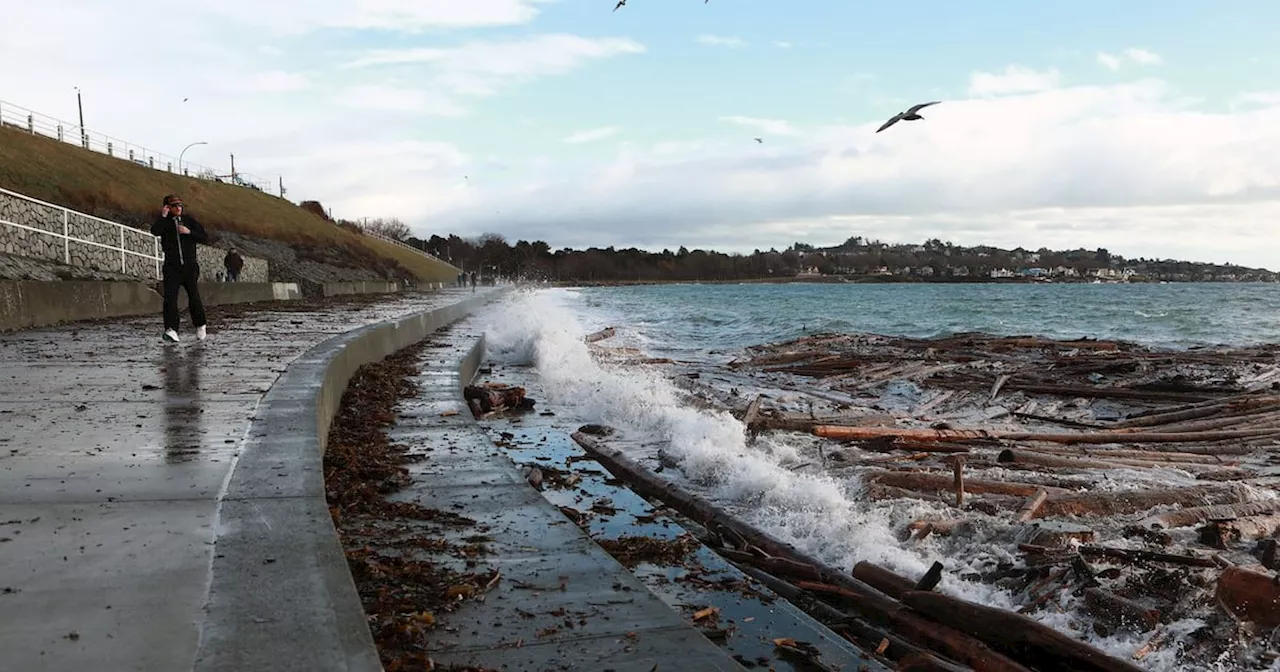 160,000 without power in B.C. amid high winds, storm surge warning issued