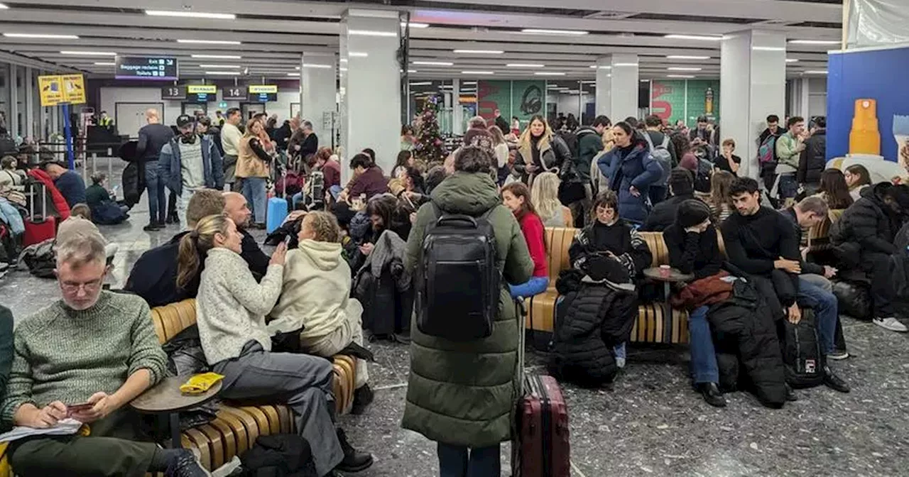 Edinburgh Airport shut down by 'significant IT issues' as passengers stranded