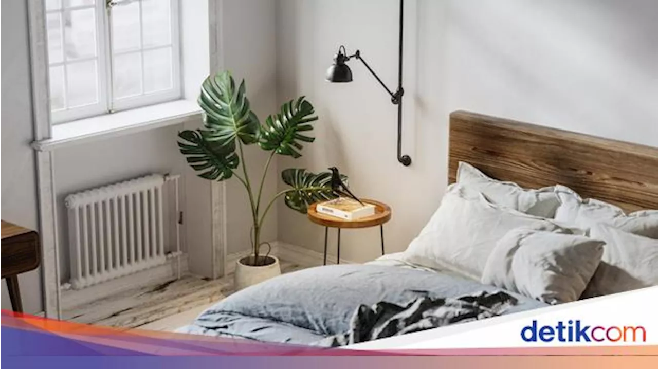 Jangan Salah, Ini Posisi yang Tepat buat Taruh Tanaman Hias di Kamar