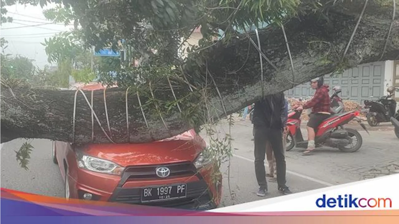 Pohon Besar Tumbang Timpa 4 Mobil di Jalan Abdullah Lubis Medan