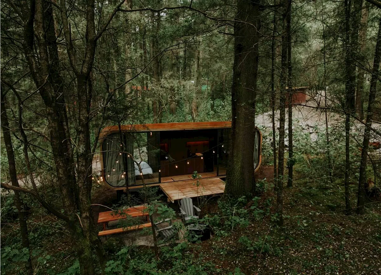 Villa Alpina: las nuevas cabañas de lujo de Wander en un bosque