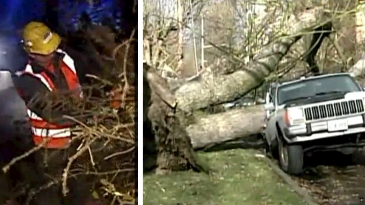 Western WA wind gusts high on 18th anniversary of deadly Hanukkah Eve storm