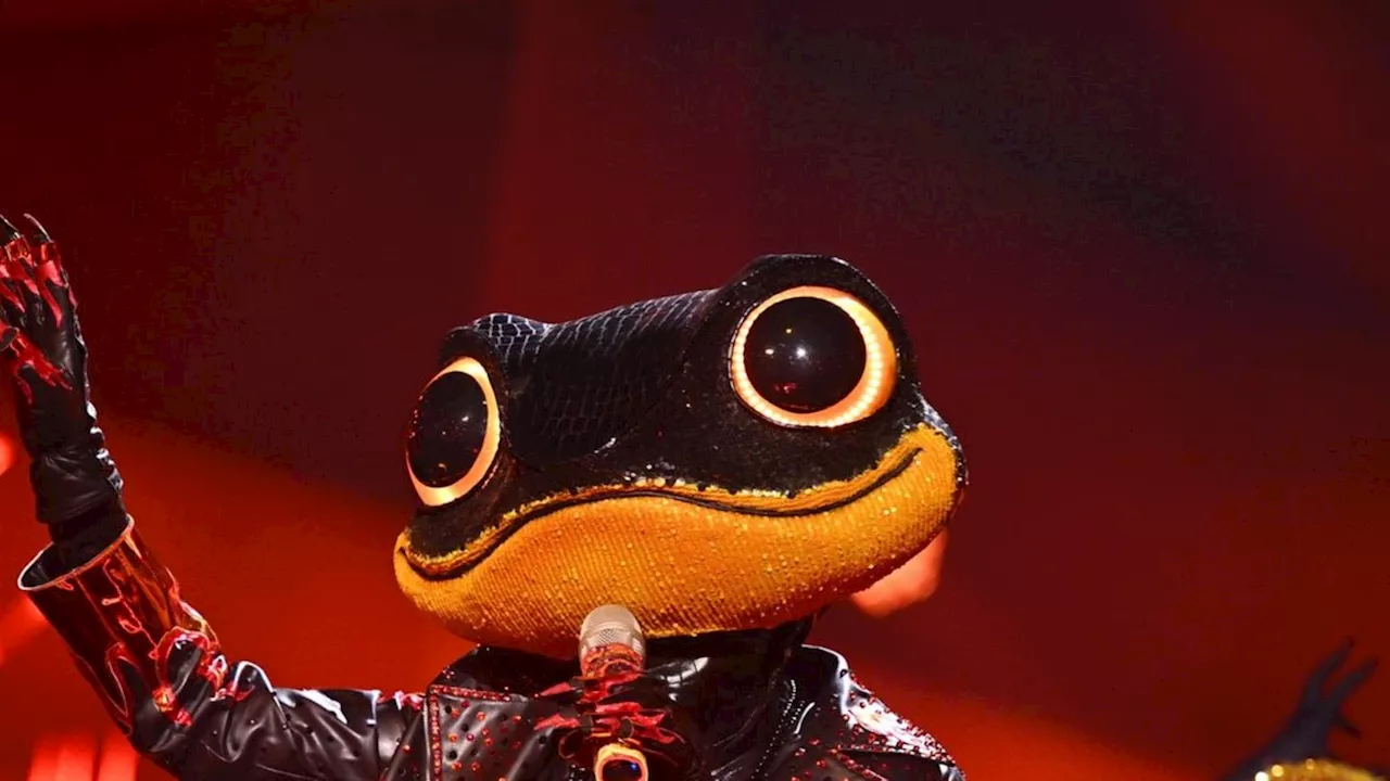 'The Masked Singer': Diese zwei Stars wurden enttarnt