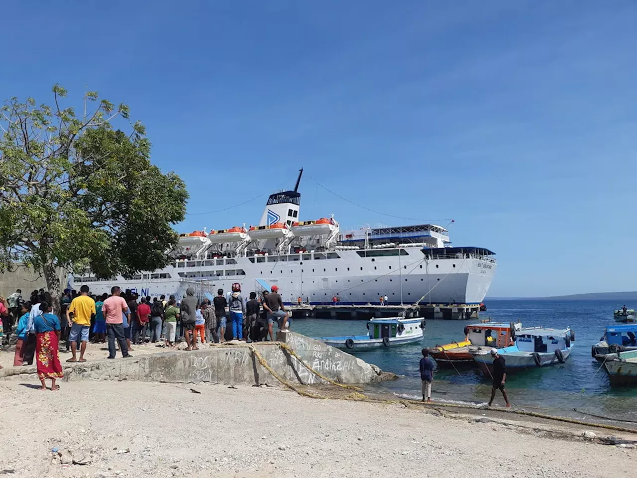 Mudik Jalur Laut Saat Gelombang Tinggi, Pelni Jadi Andalan