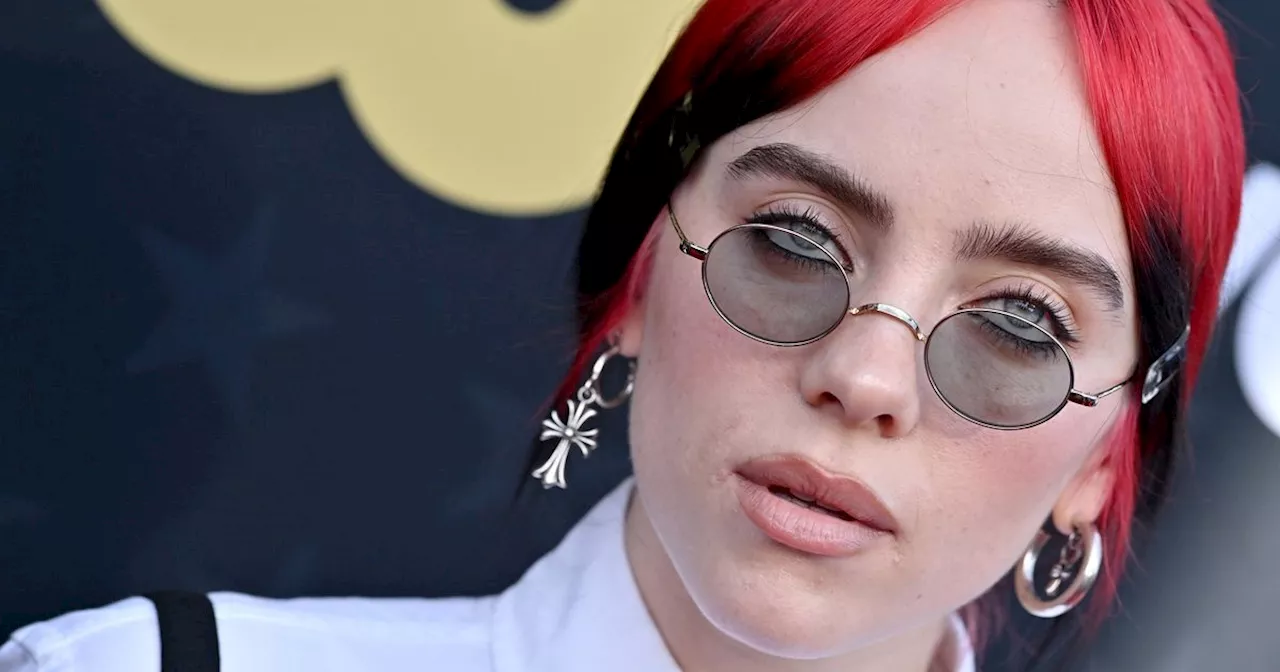 Billie Eilish Hit In The Face By An Object While Performing In Arizona