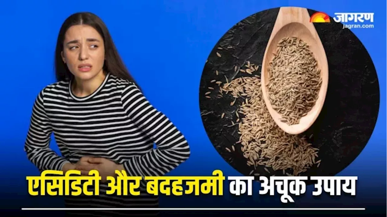 पेट फूलने की समस्या से राहत दिलाएंगे 4 Seeds, एसिडिटी और बदहजमी से नहीं होना पड़ेगा परेशान