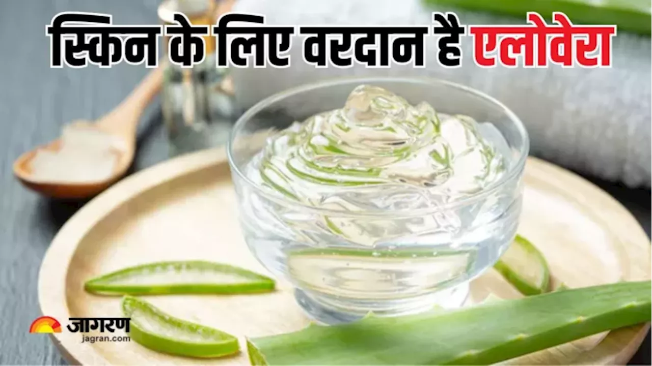 सर्दियों में ग्लोइंग और मॉइश्चराइज त्वचा के लिए ट्राई करें 5 Aloe Vera Face Packs