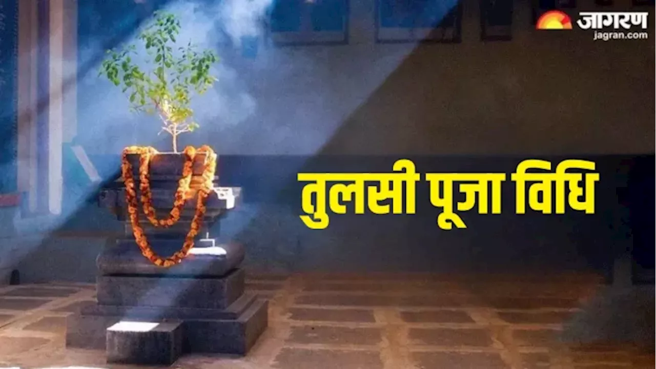 Tulsi Puja Vidhi: पौष माह में तुलसी की ऐसे करें पूजा, पहिए की तरह बदलेगी किस्मत