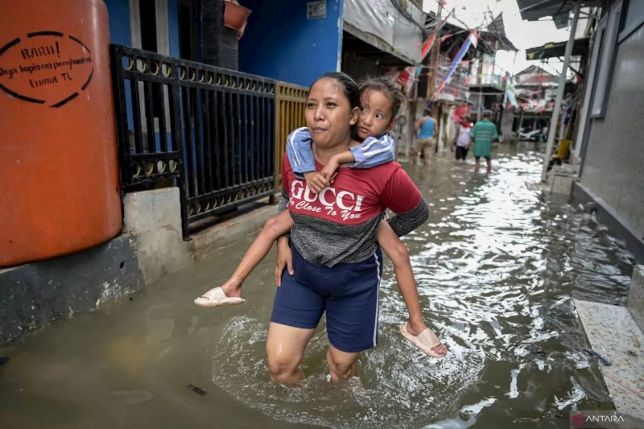 Banjir Rob Menggenangi 6 RT di Marunda dan Pluit Jakarta Utara